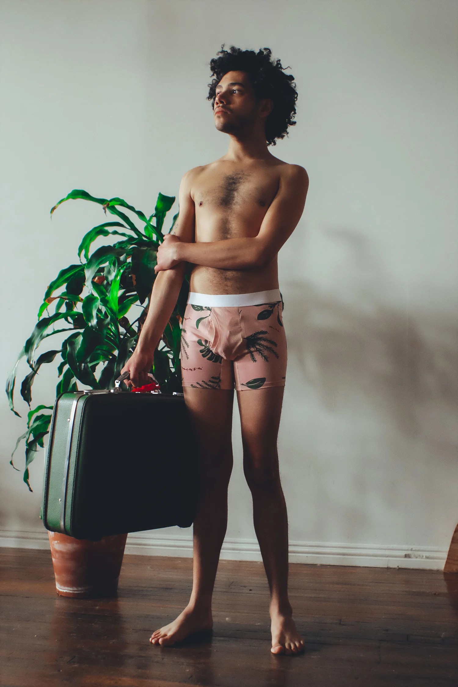 pinkplantsweb3.jpg