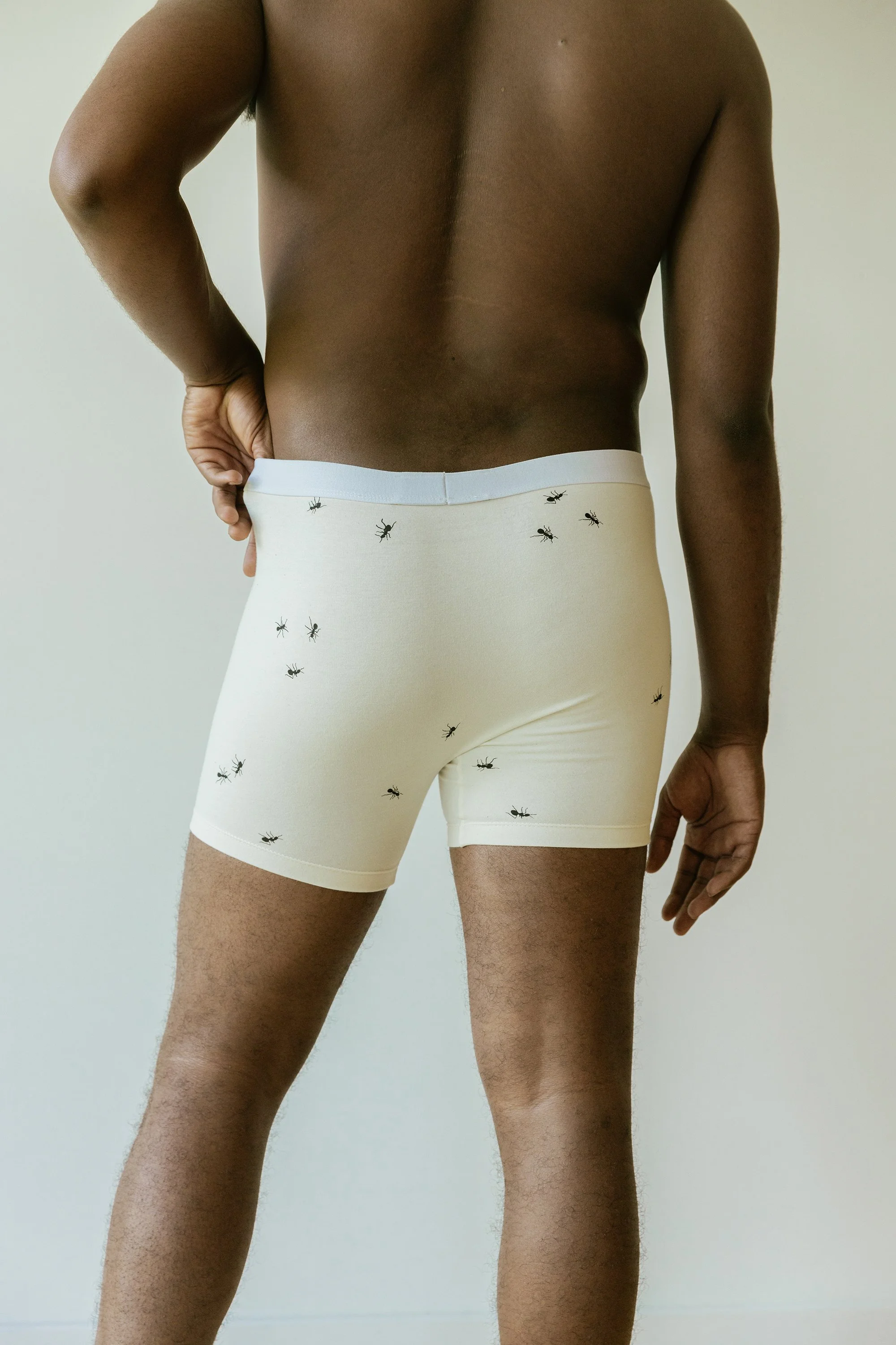 ants_pants_boxer_brief_04.jpg