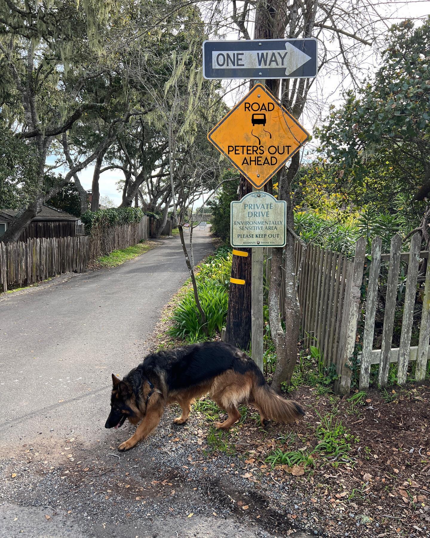 road signs