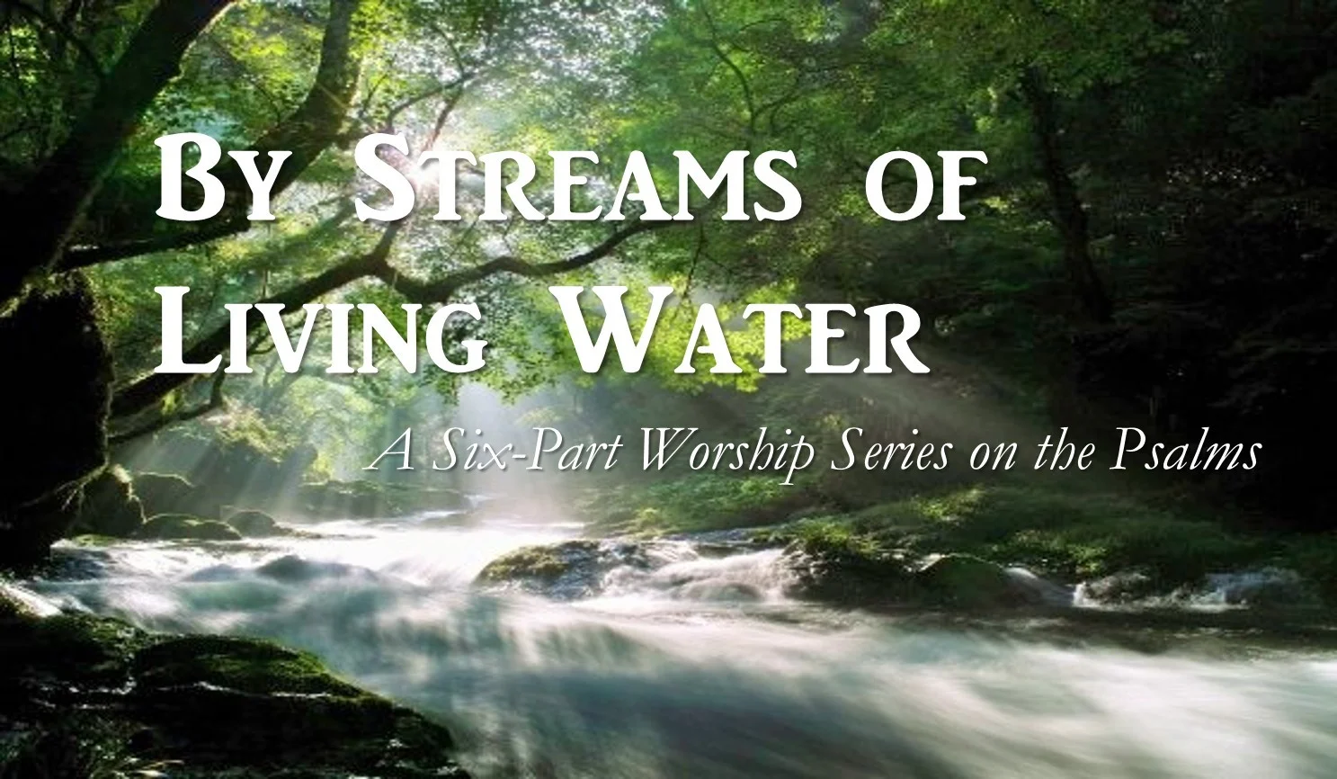 Psalms Series (6 of 6)