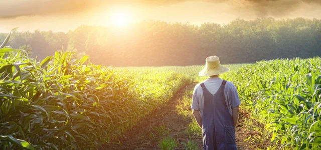 Jesus Demands Our Full Attention