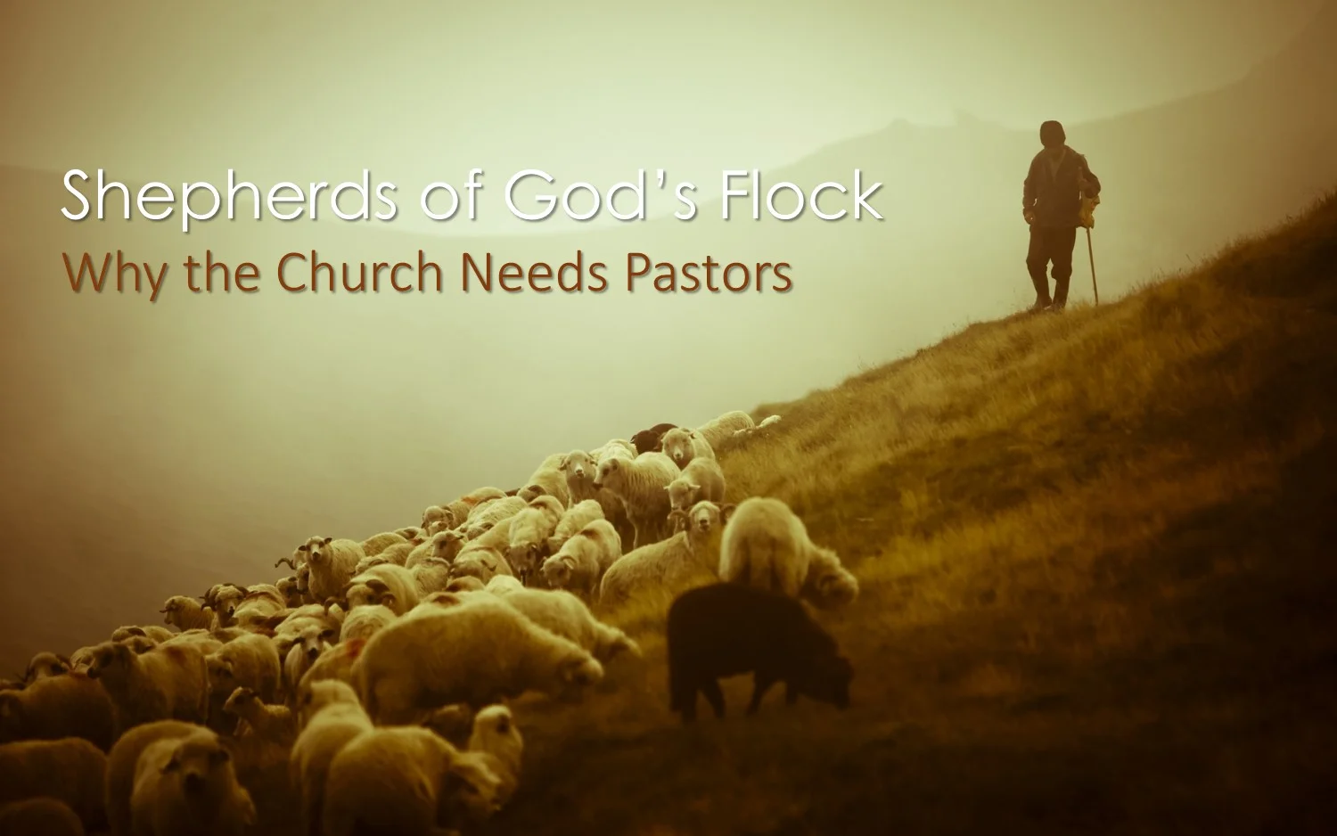 Sermons Christiansburg Mennonite Fellowship