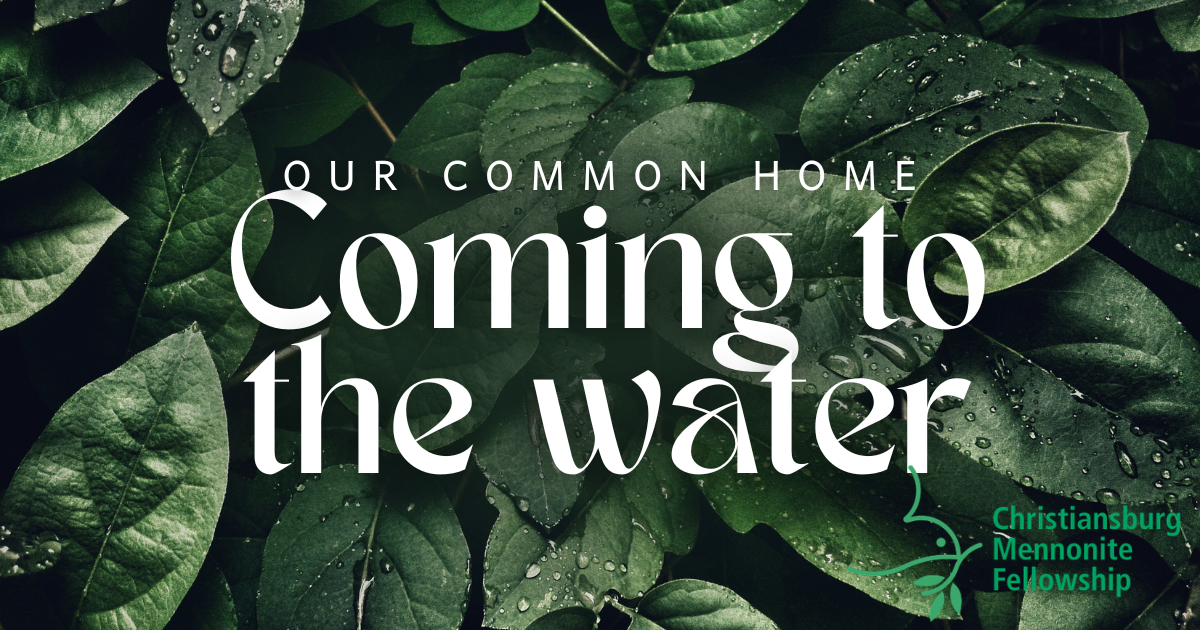 September 6, 2026. God's Shalom for Our Common Home: Coming to the Water. Kelli Moore