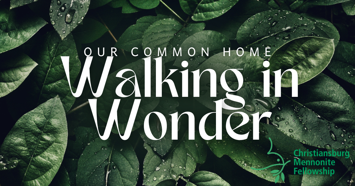 September 27, 2026. God's Shalom for Our Common Home 4: Walking in Wonder. Kelli Moore