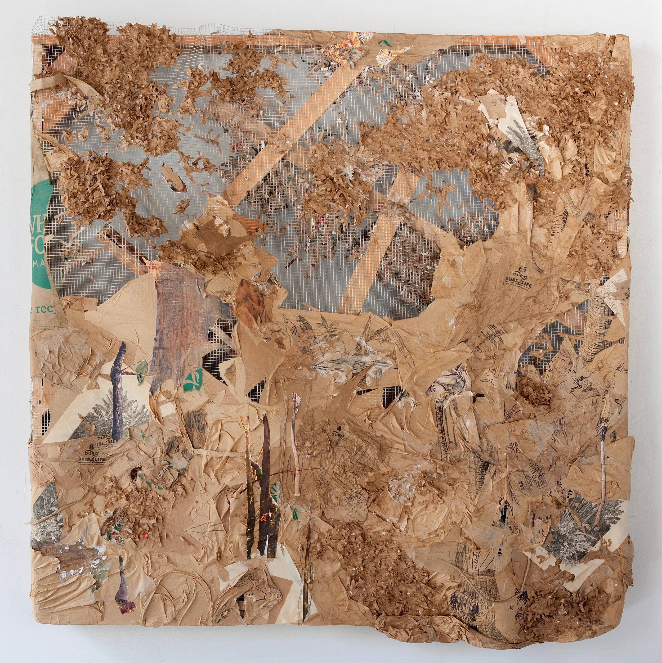 DURO DUBL LIFE , 2017, Duro Dubl Life brand paper bags, artist’s old life drawings, 19th century engraving, nature calendars, and pen on chicken wire and wooden painting stretchers, 48 x 48 inches