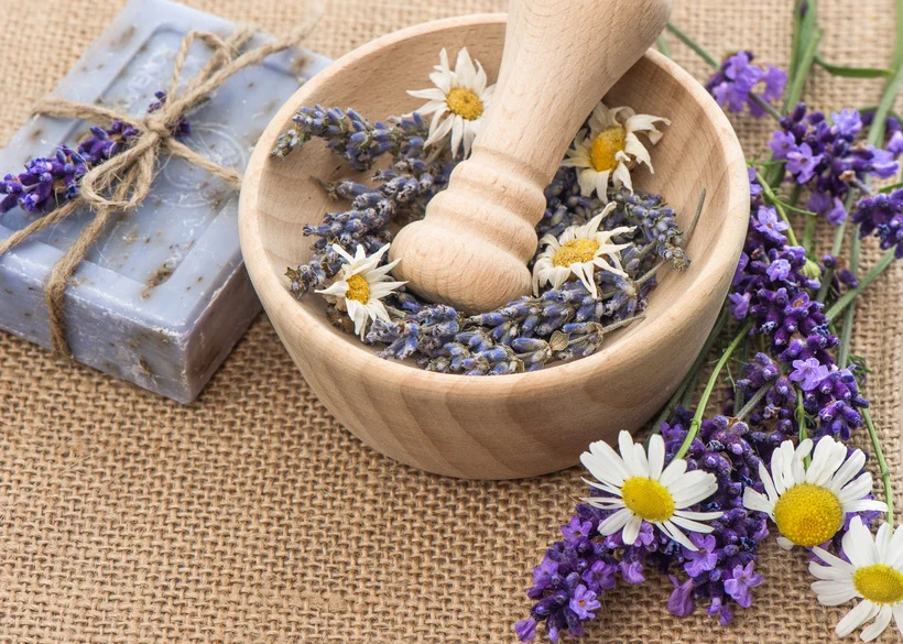 Lavender and Camomile.jpg