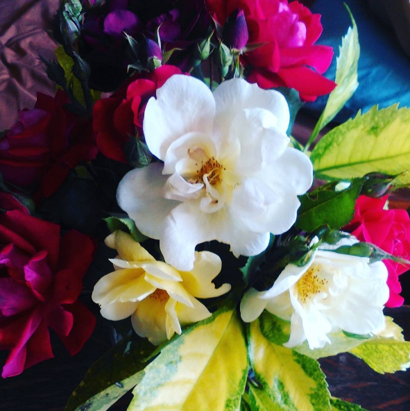 I picked these roses from my dad's backyard on the day he died. I was barefoot at the time, and I got a splinter, and I remember thinking, "Good. This shouldn't be easy."