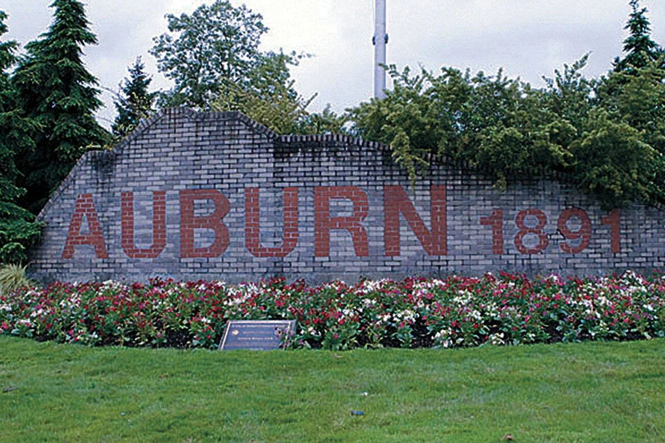 auburn size large.jpg