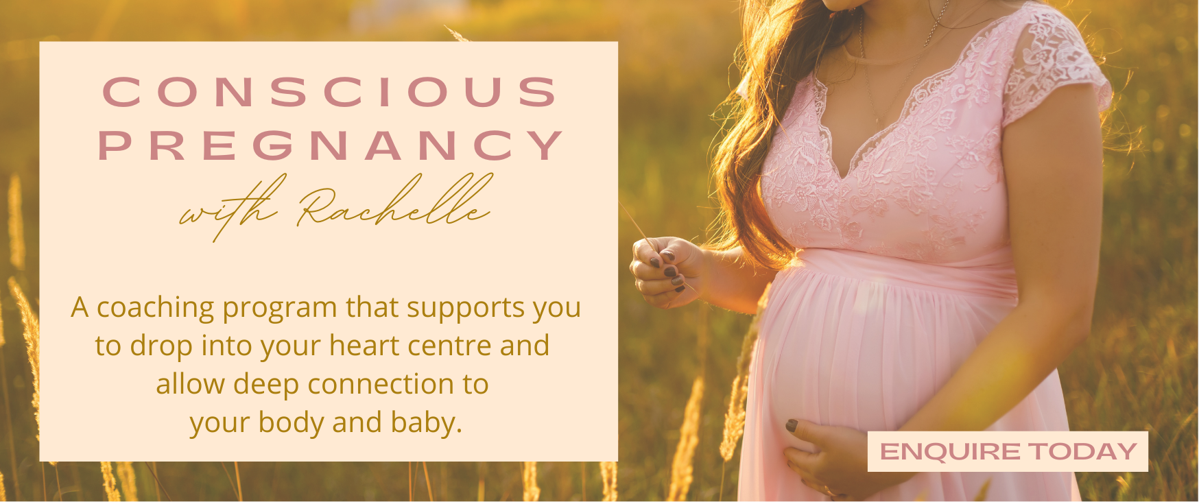 Rachelle Hickson Pregnancy Banner.png