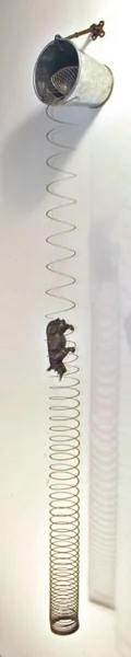 Slinky