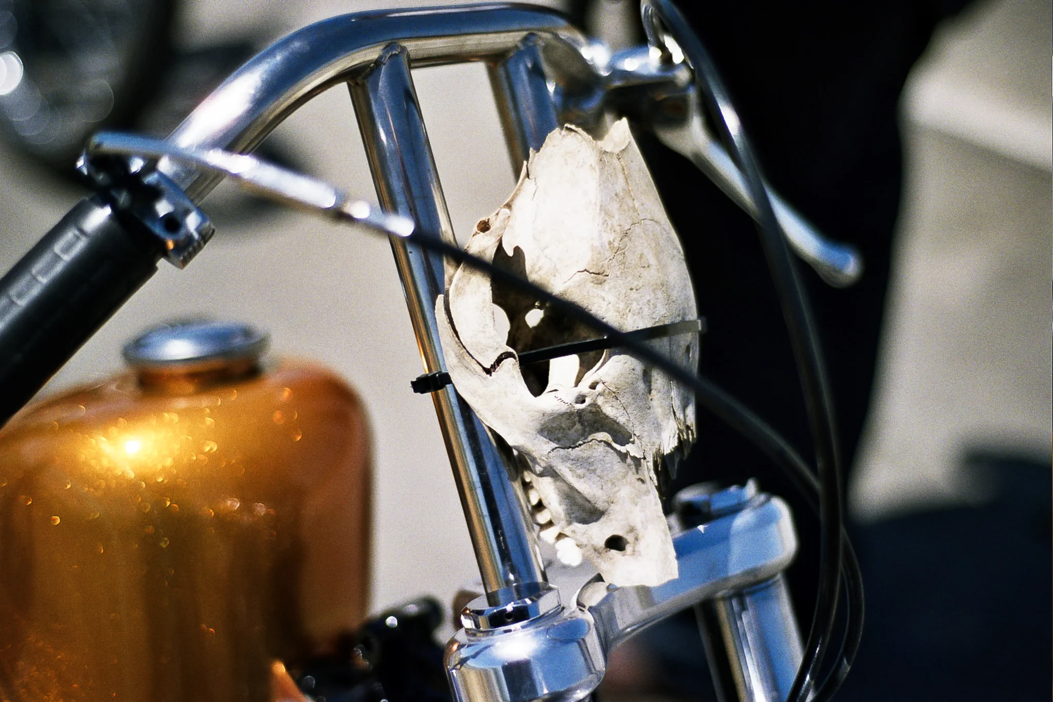 CLAYTON STORMS // HWY 101, CA