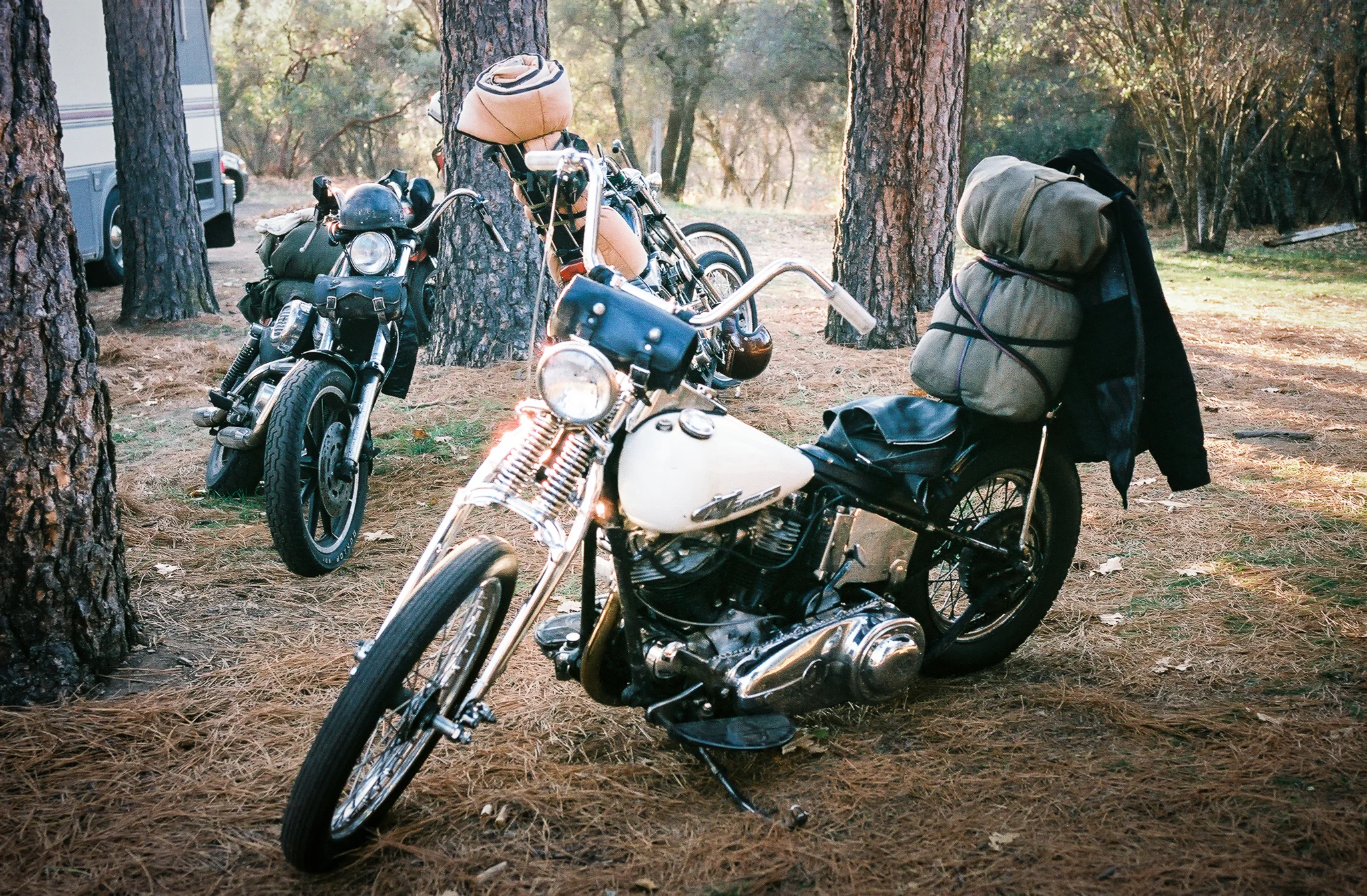 CHATTY'S PAN // NORTH FORK, CA