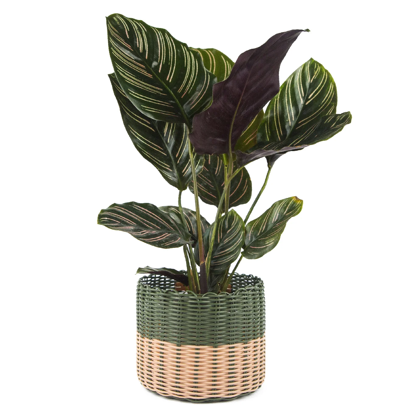 Small Planter Green Peach.jpg