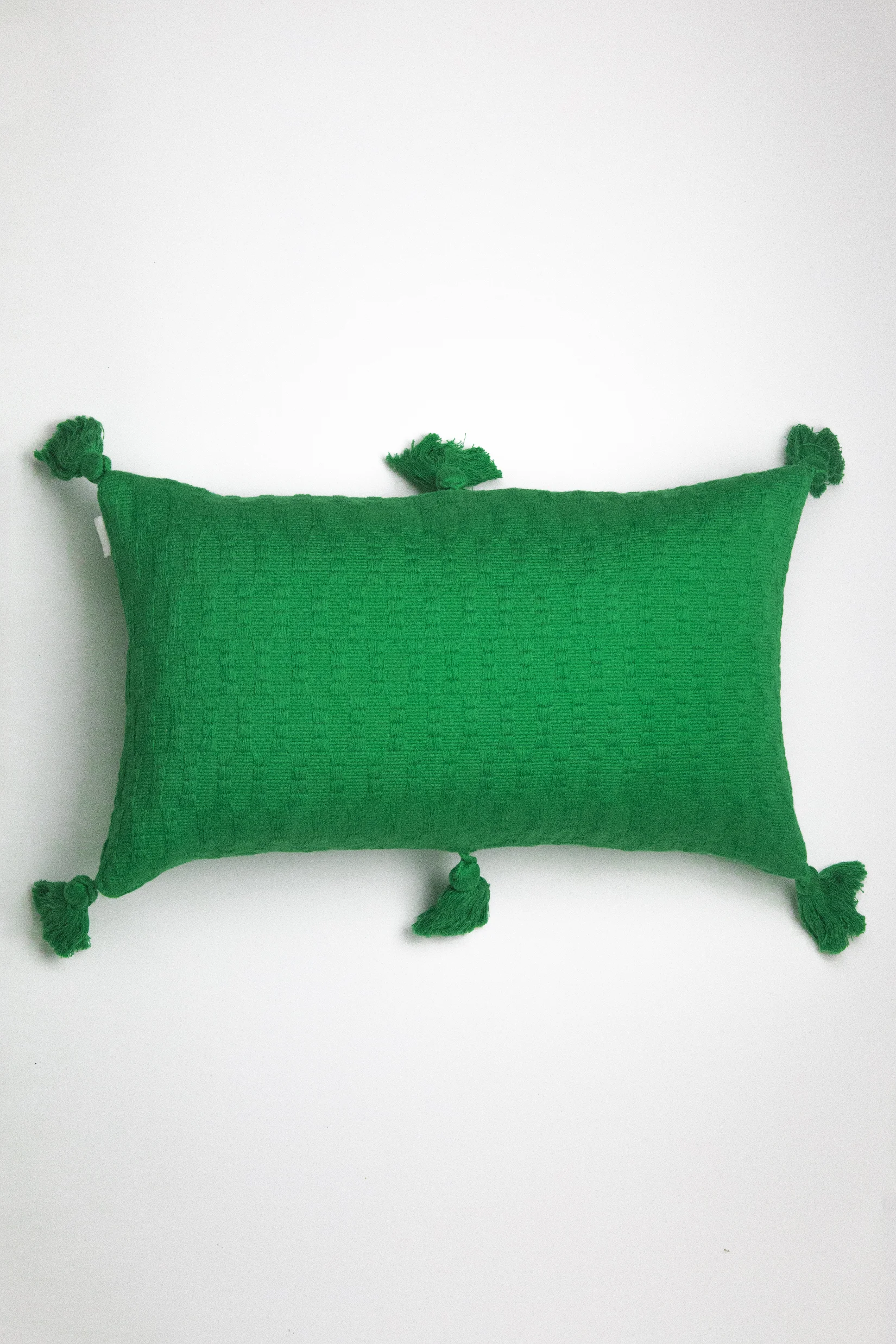 Antigua Grass Green Solid Web Res copy.jpg