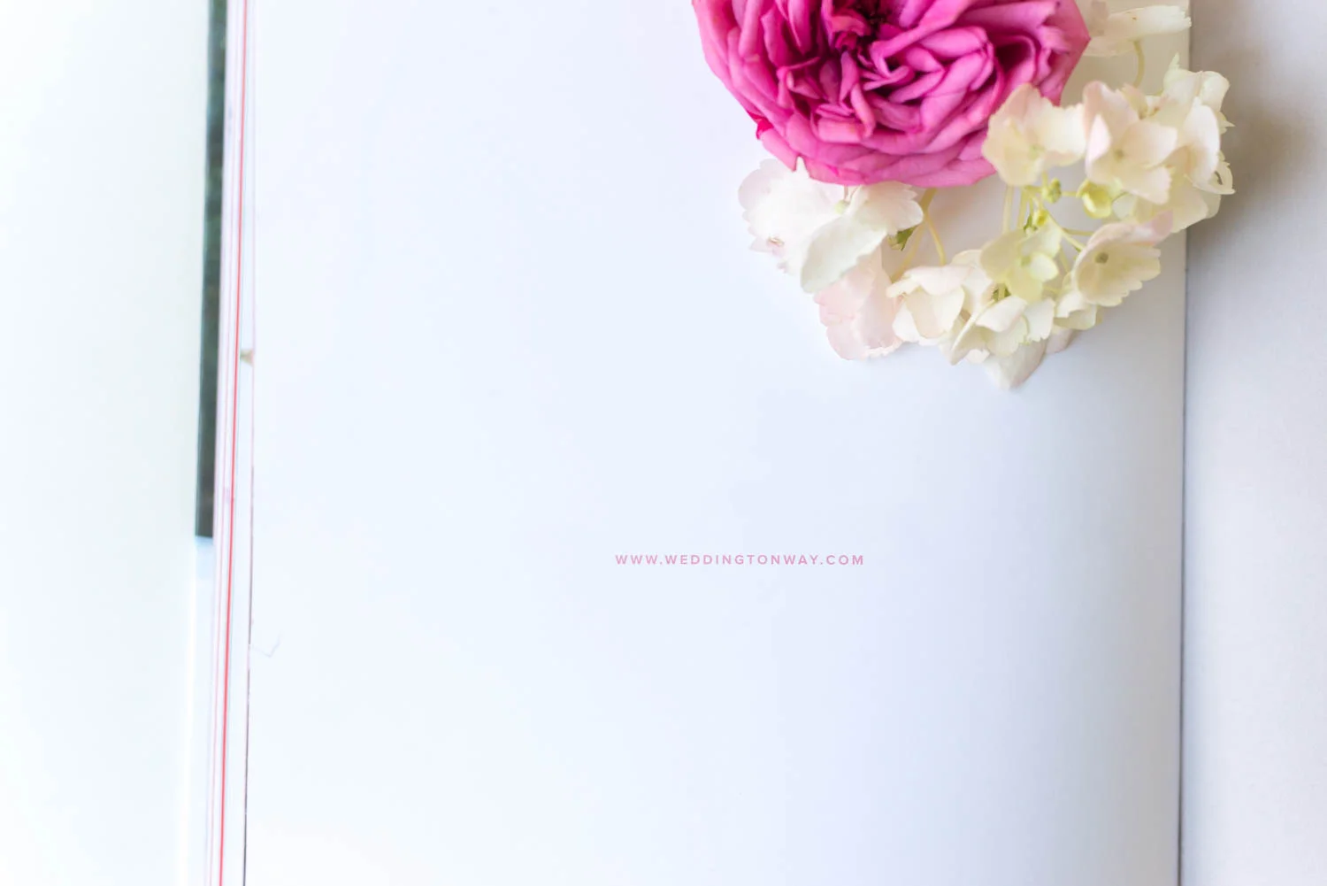 weddingtonway-hannahpobar-brandbook-20.jpg