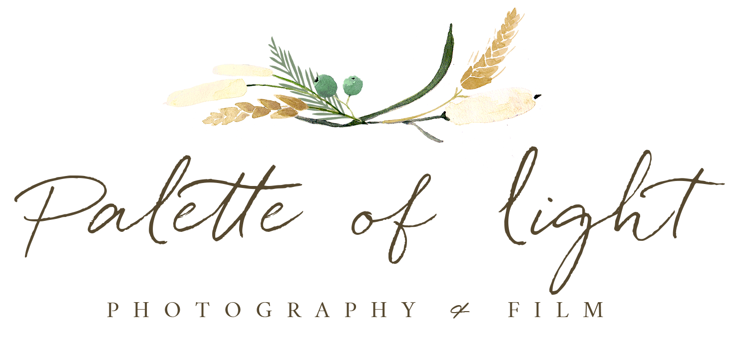 Palette of Light Photography &amp; Video