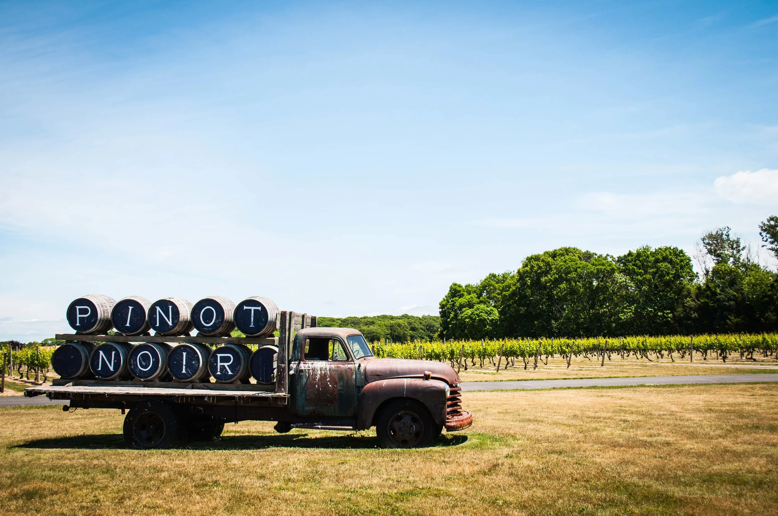 One of the most photogenic relic of a machinery I have seen!