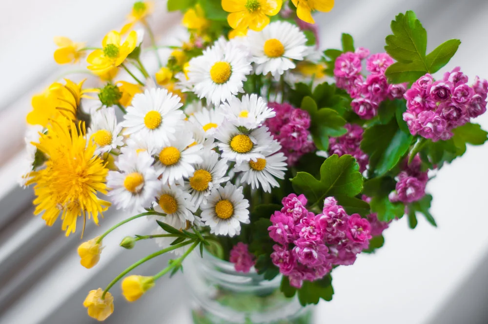 Spring-flowers.jpg