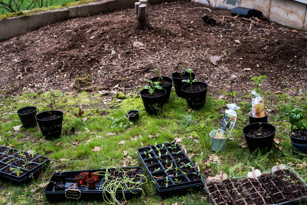 READY FOR PLANTING - BUT WHEN?