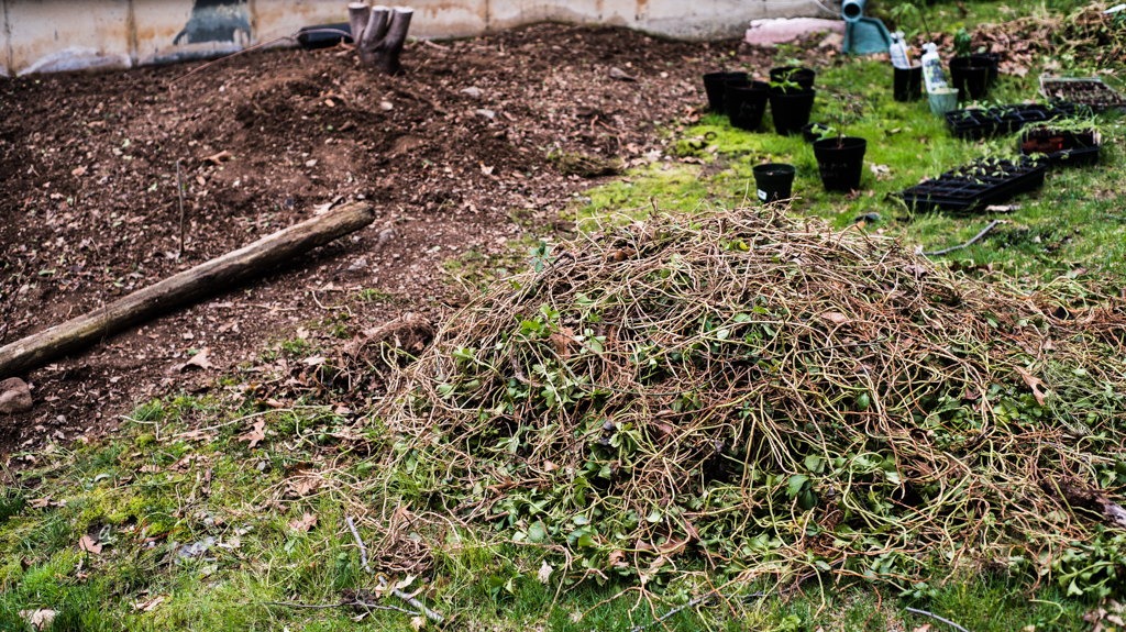 finished-view-before-planting.jpg