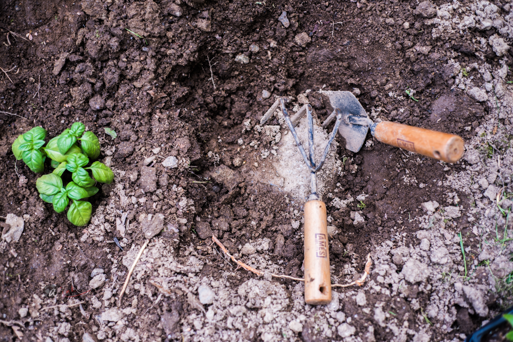 Herbs and my Trusty tools