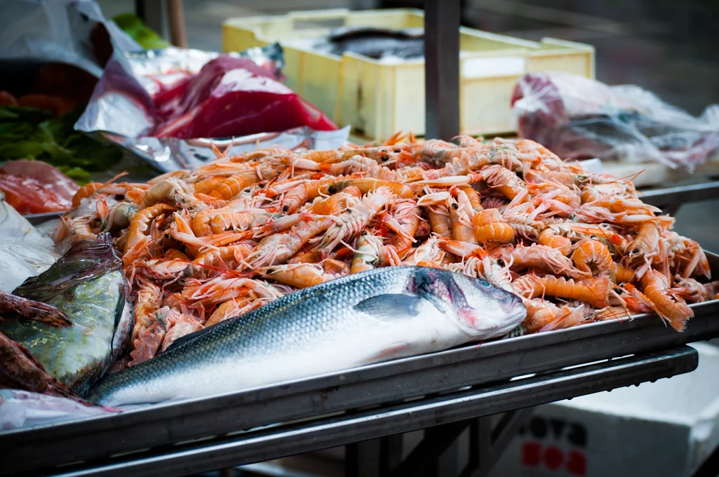Fresh-Catch-Venice.jpg