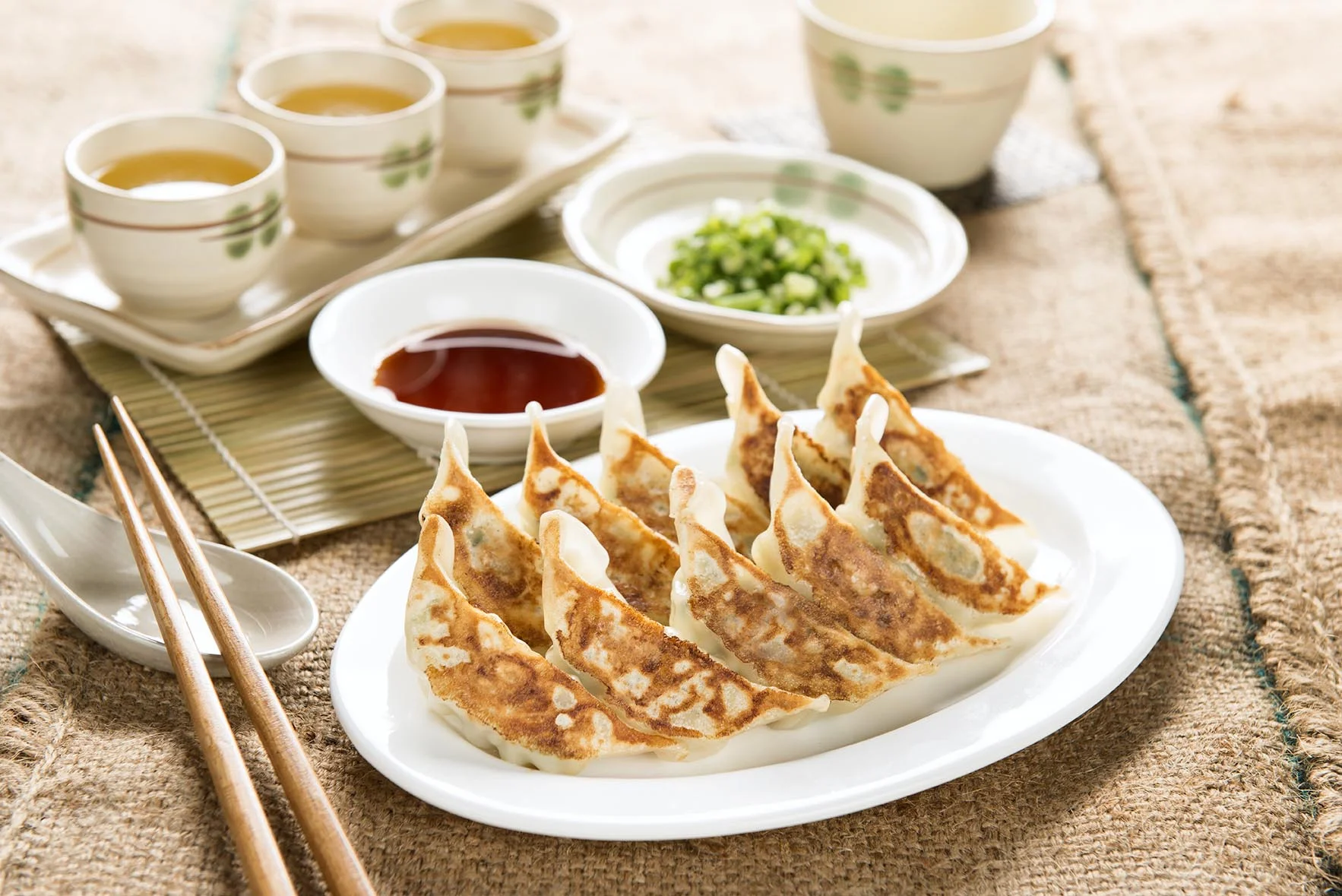 Gyoza 10 Piece lo.jpg