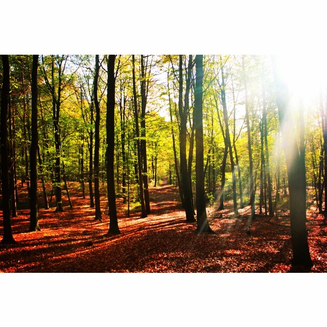 Bronx River Parkway Park Photo by Rachel Eager '17