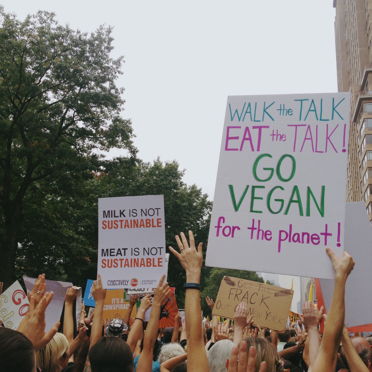 Participants in the People's Climate March, which took place on Sept. 21, 2014 in New York City, hold up signs encouraging participants to 'go vegan for the planet.’ Photo by Sarah Steinhart '17.