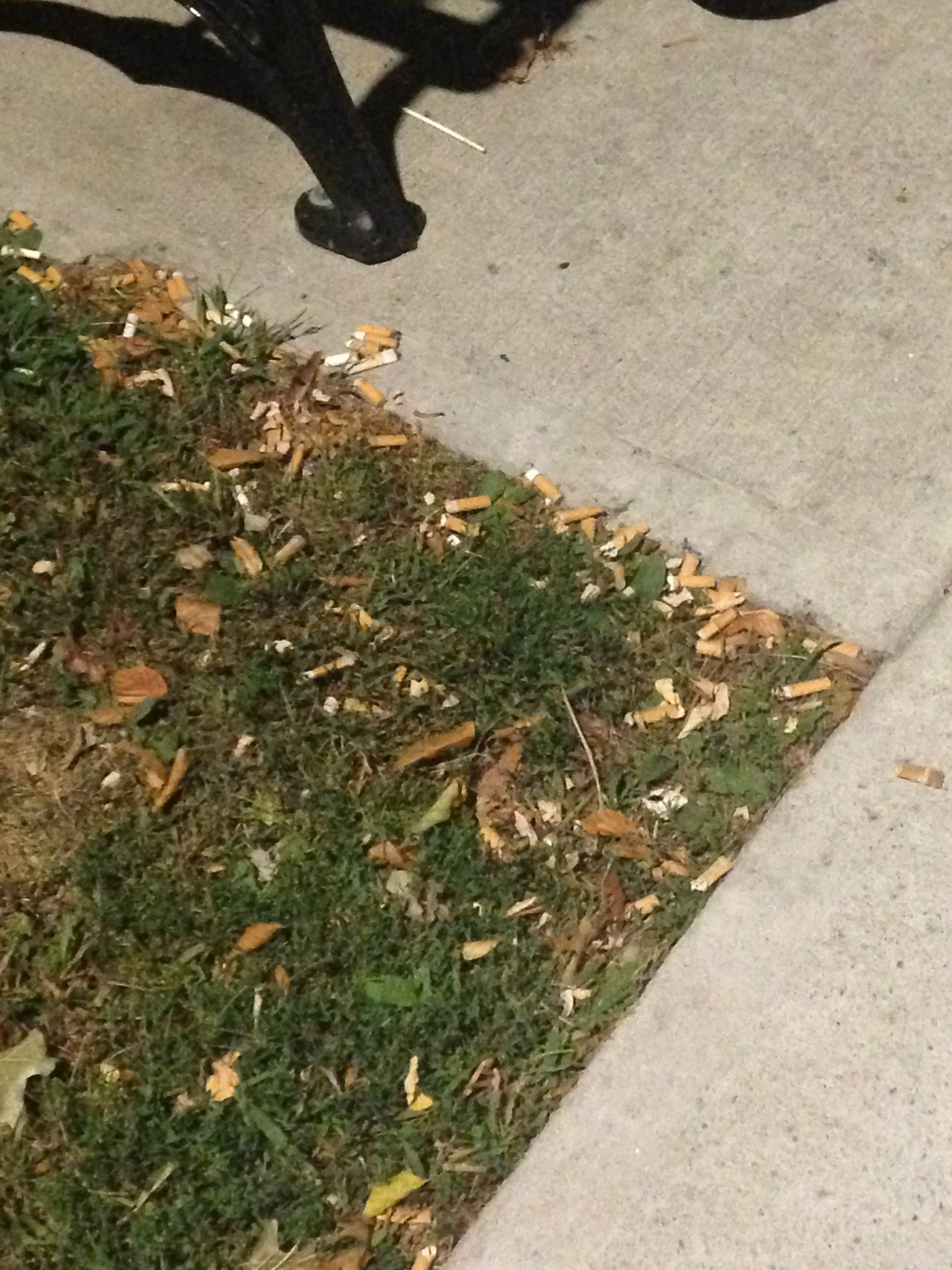 Cigarette butts near a bench on Kimball Ave. Photo by Janaki Chadha '17
