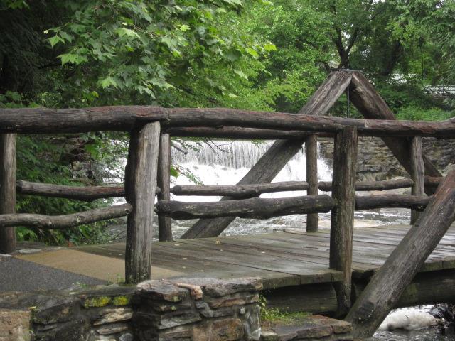 Parts of the Bronx River Greenway close to SLC can offer welcome dive into nature. Photo by Ariela Brody ’16