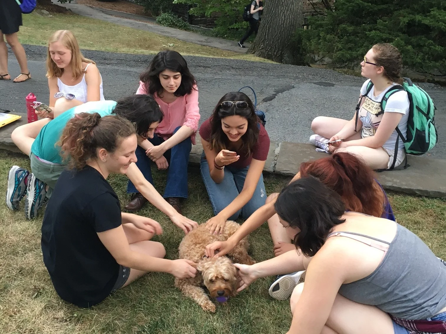 Students playing with one of the dogs on the North Lawn last September. Photo courtesy of Cynthia Schaffler.