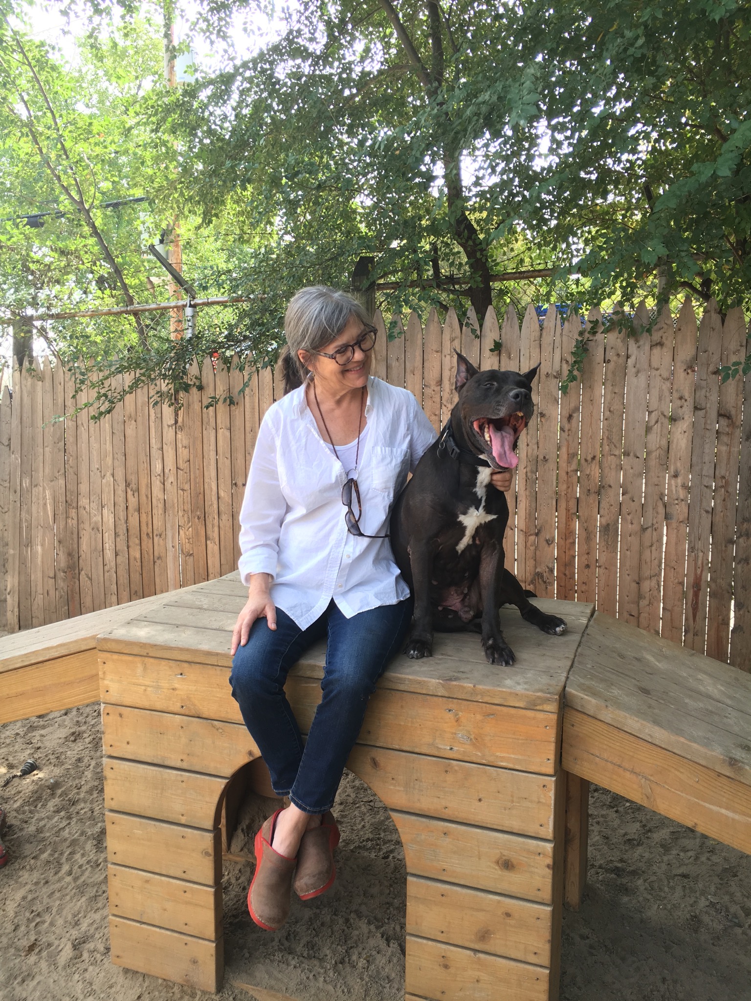 Jo Ann Beard at the Mount Vernon Animal Shelter. Photo credit: Ann King