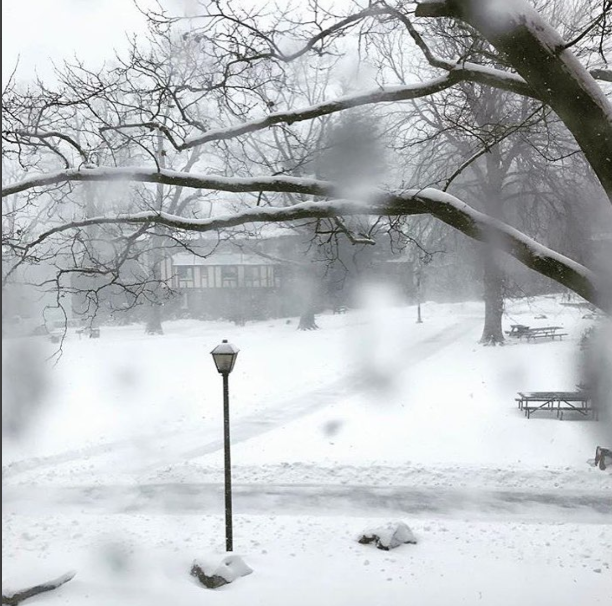 Loneliness and Social Support at Sarah Lawrence