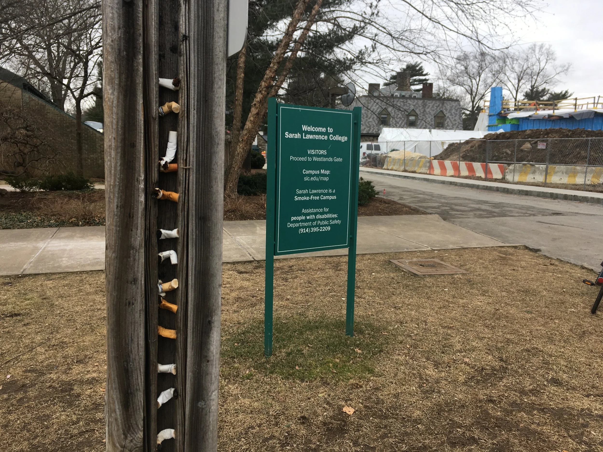 Senate Brief: Senate Day of Service and Big Senate Goals