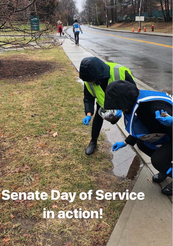 Photo from Senate Day of Service last year.