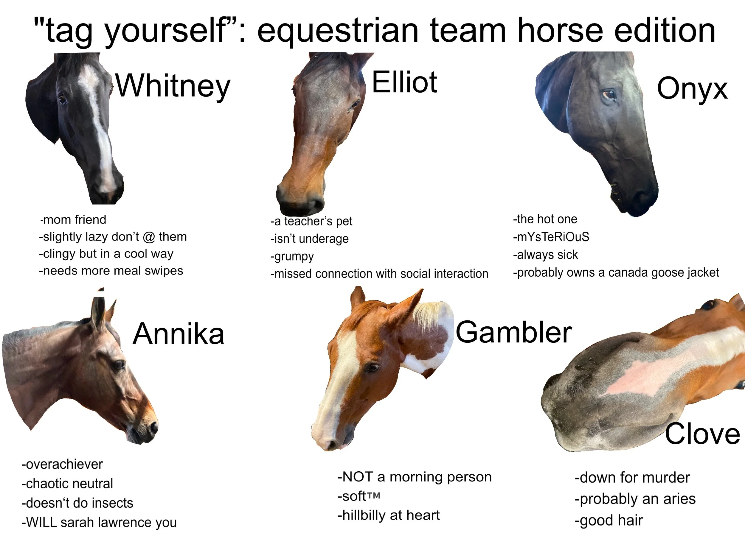Which SLC Horse Are You?