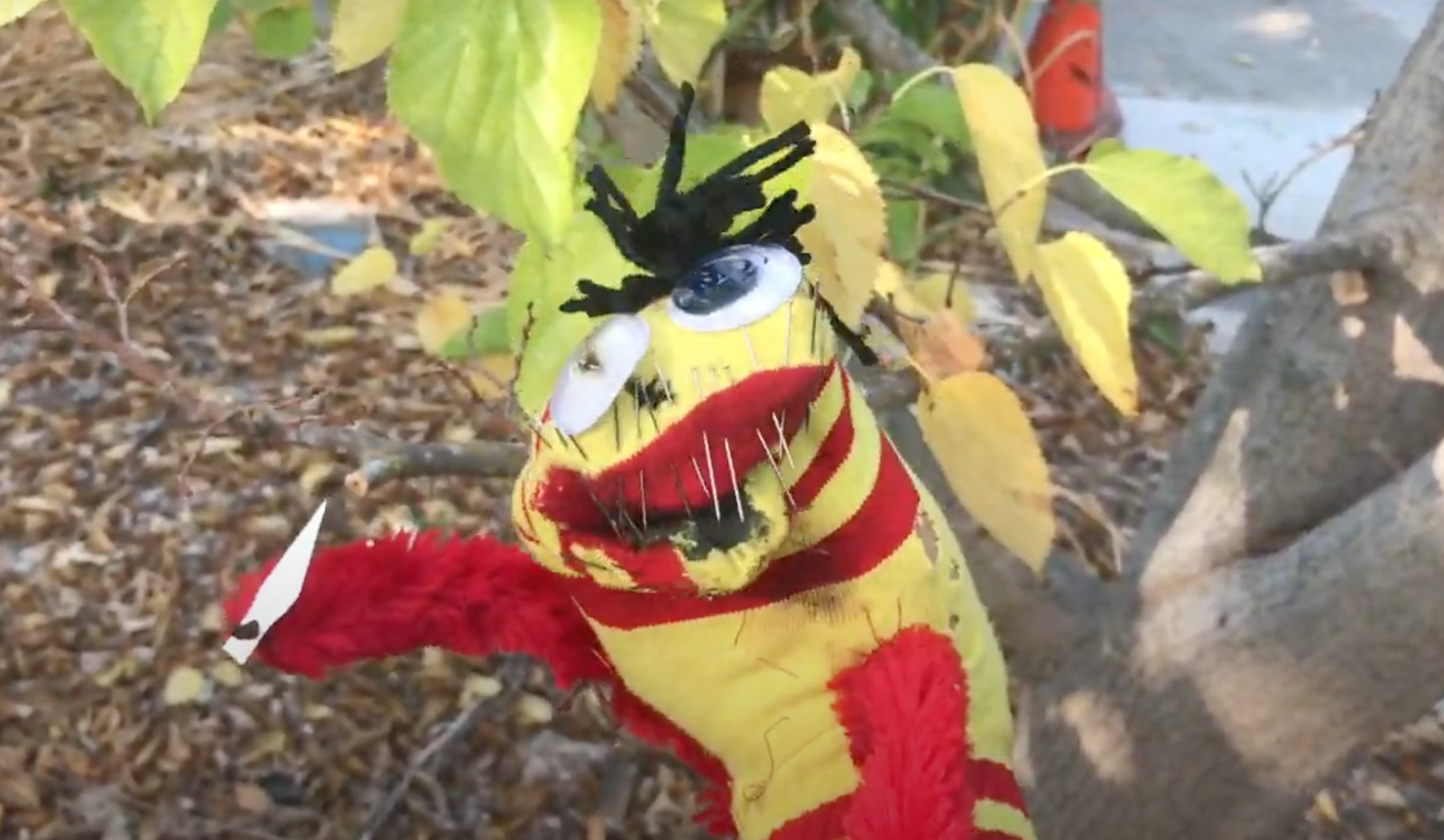 50 Things to do during Quarantine