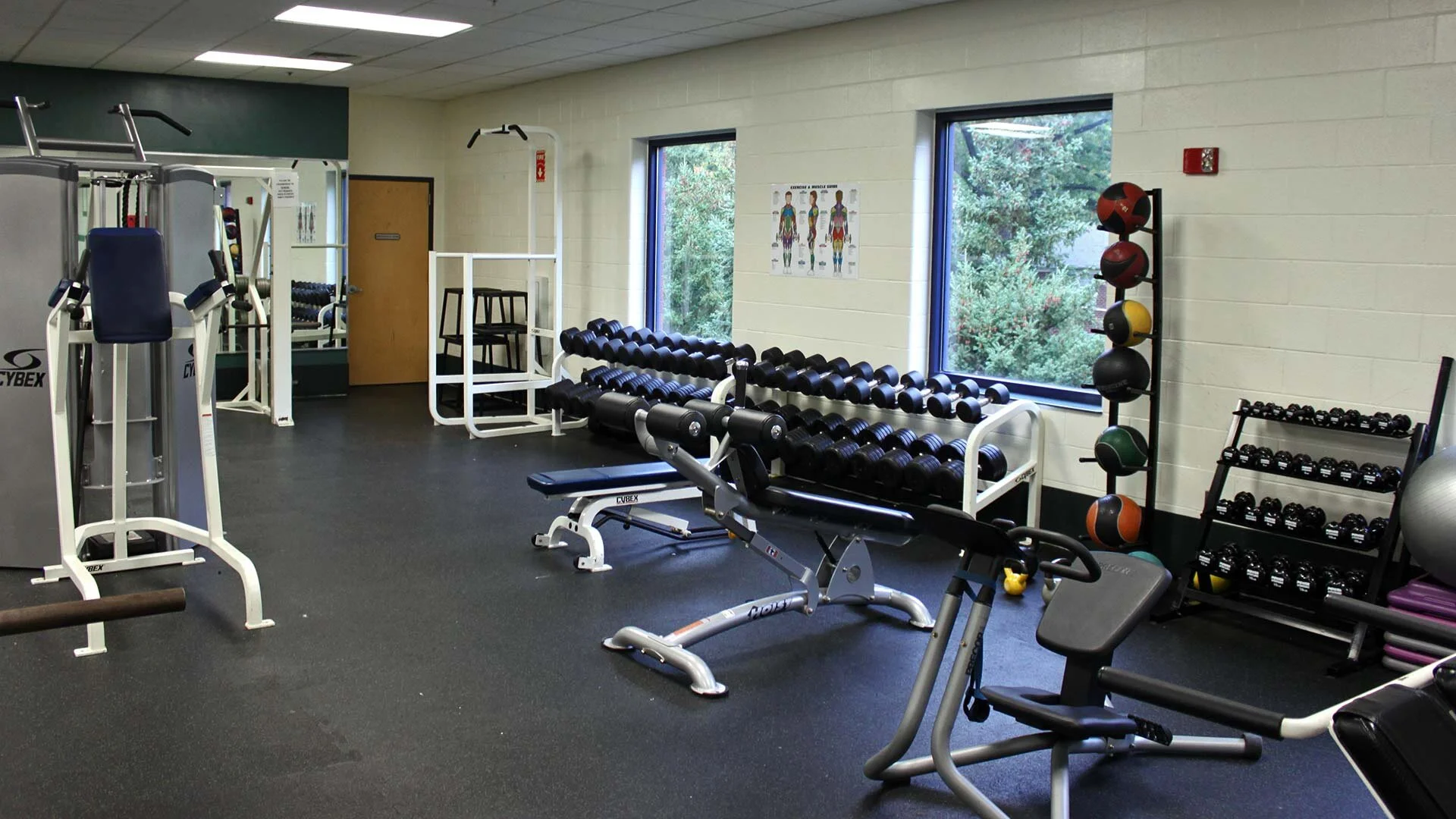 PE Requirement? More like a suggestion.