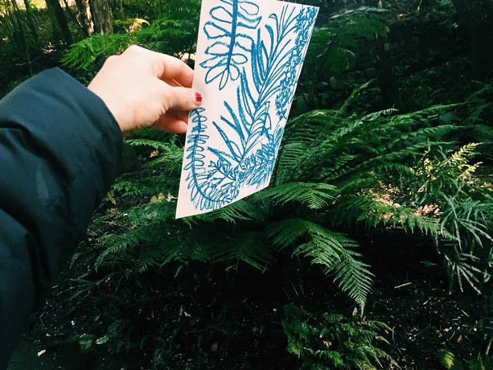 Fern sketches from an oxygenated afternoon in The Wellington Botanic Garden.