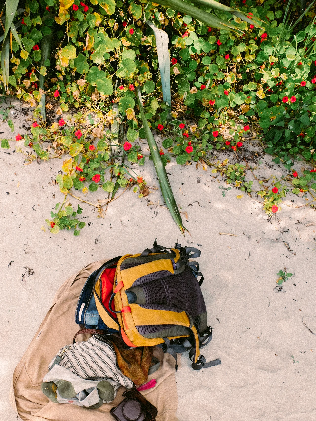 You are human. So be human.