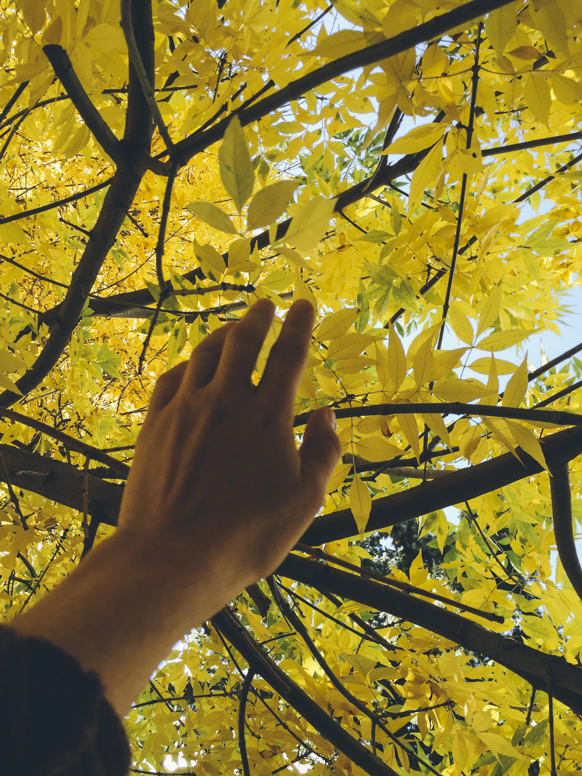 I don't have it all figured out. Actually, I'm dealing with depression.