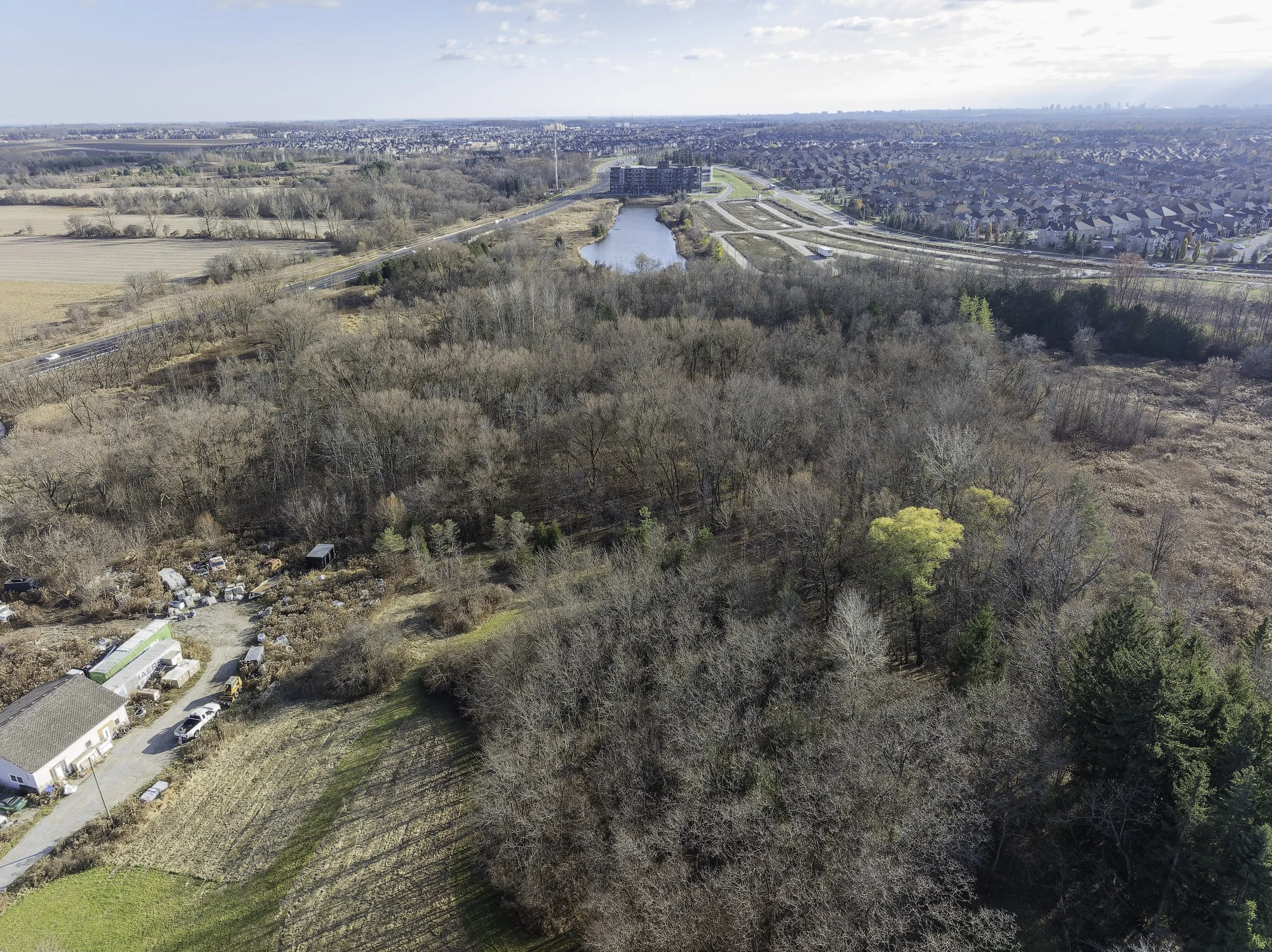 DJI_0420-view south (50).jpg