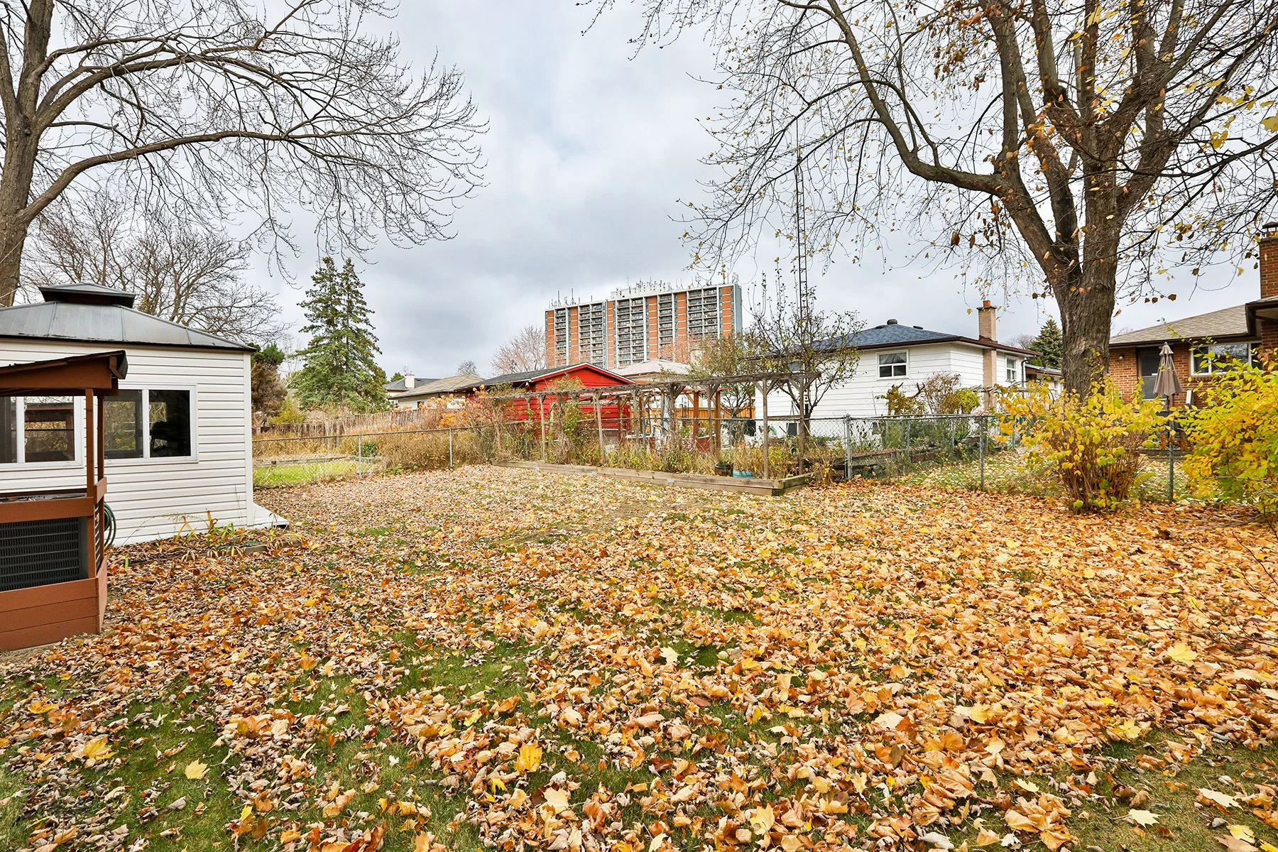 IMG44165.jpg