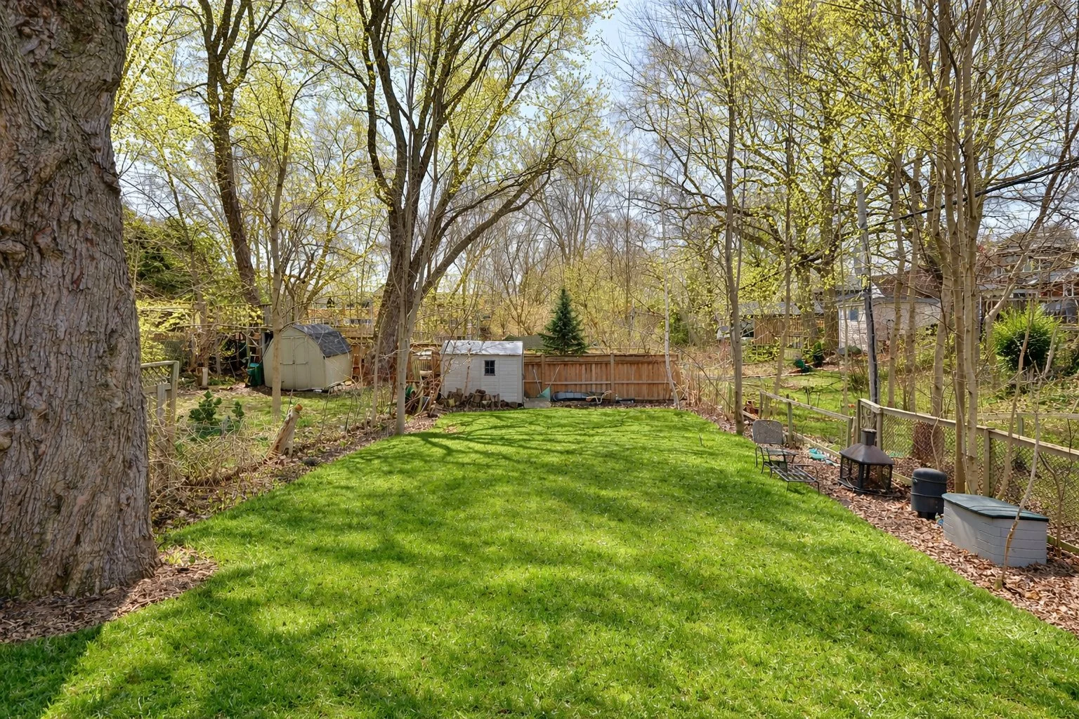 spring Backyard.jpg