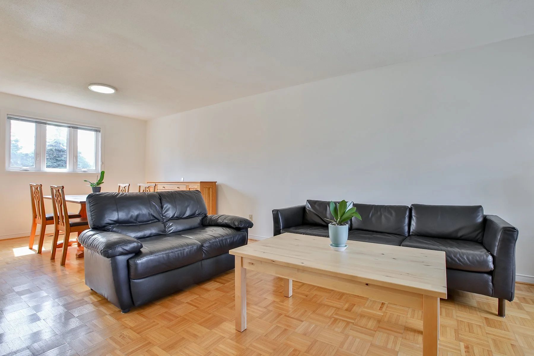 2I1A8708.jpg