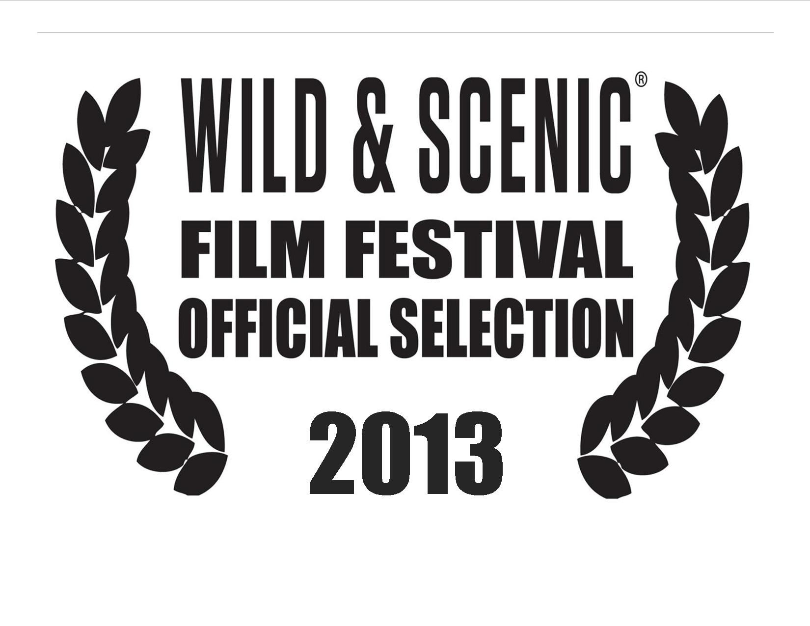 2013-WSFF-Official-Selection.jpg