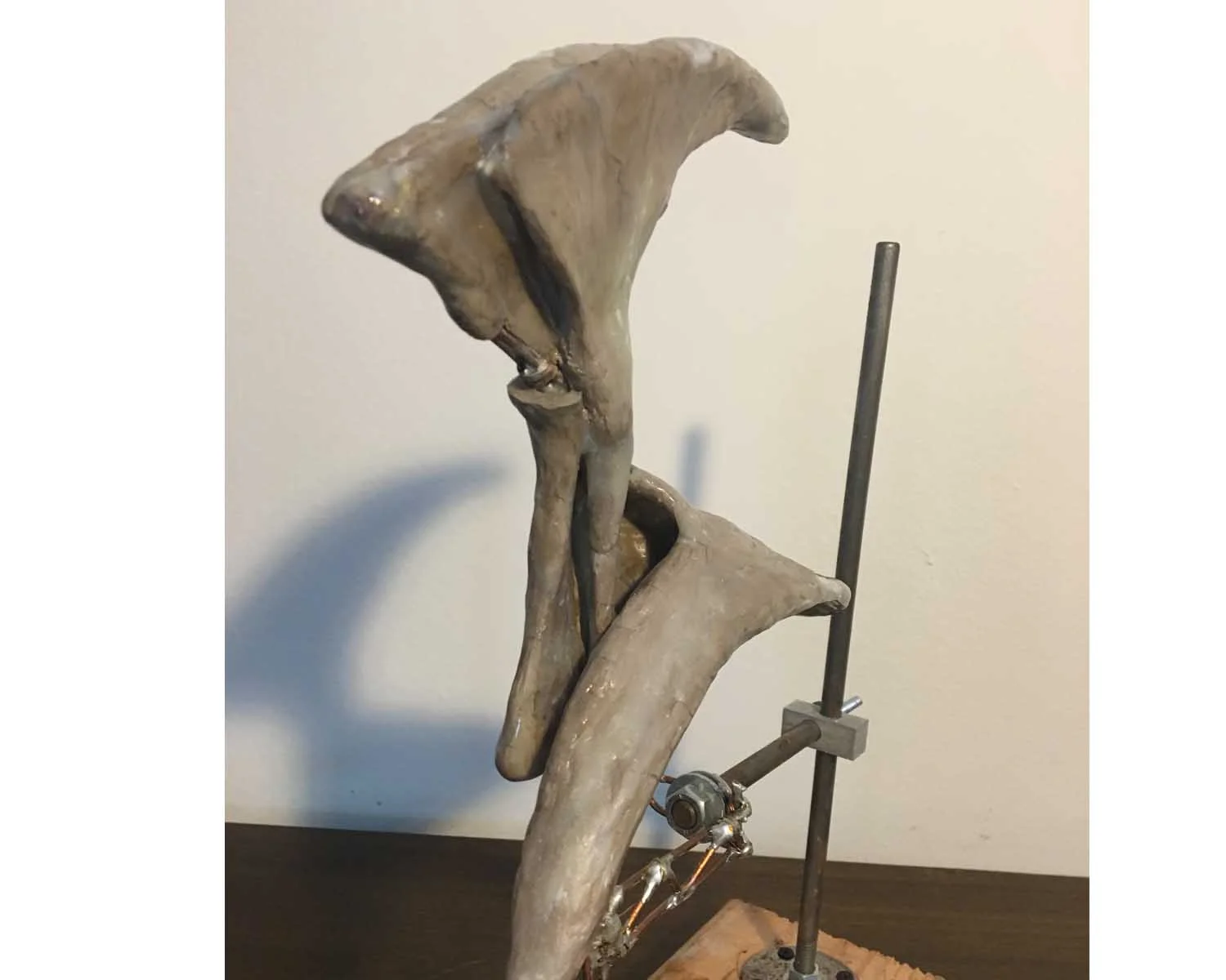 web page - detail 01.jpg