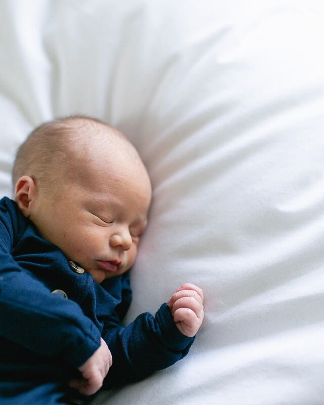 one dreamy little dreamer ✨ shot a newborn session yesterday and have a maternity session on the books for tomorrow in one of my favorite places. as always, feeling so grateful to be a part of documenting these milestone moments for family. it&rsquo;