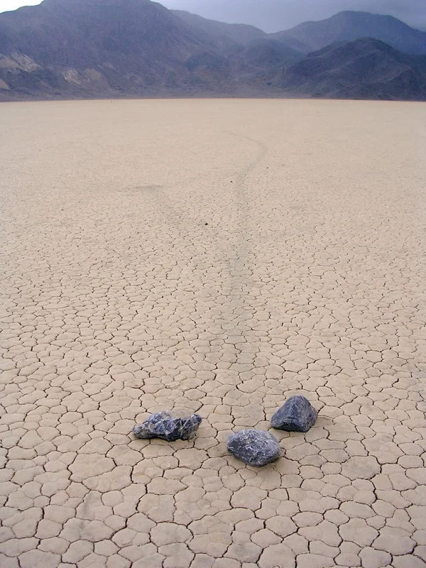 Three tracks on the playa.